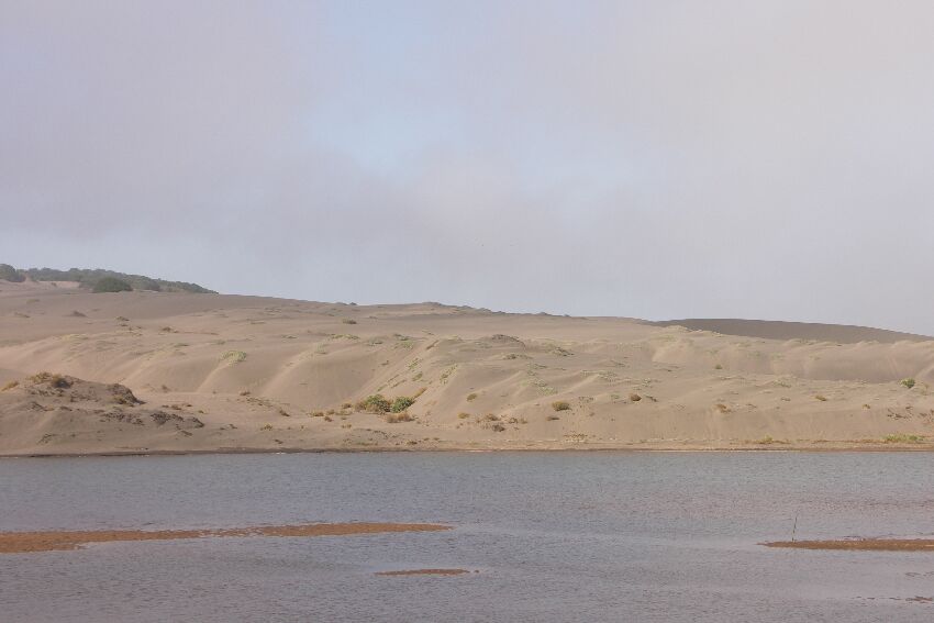 Dünenlandschaft nördlich von Constitucion