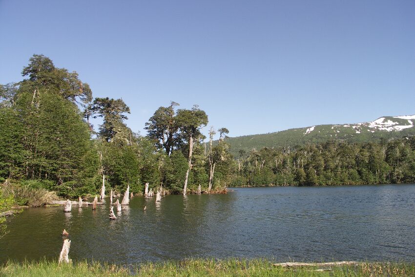 Nationalpark Conguillío