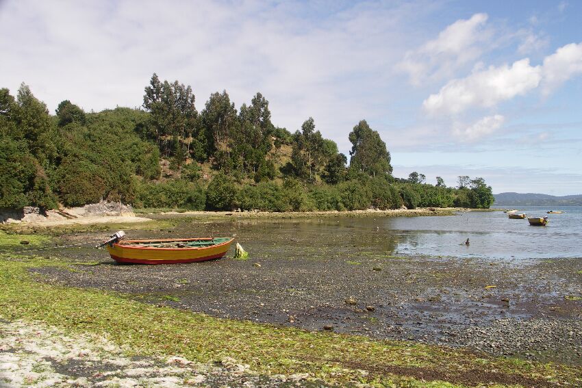 Chiloe
