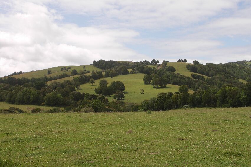 Chiloe