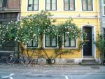 a petición de Jacobo: Copenhague 2005