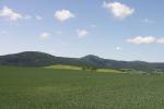 Lausche