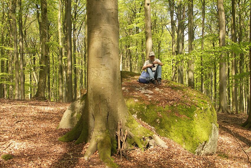 Geocaching Rügen