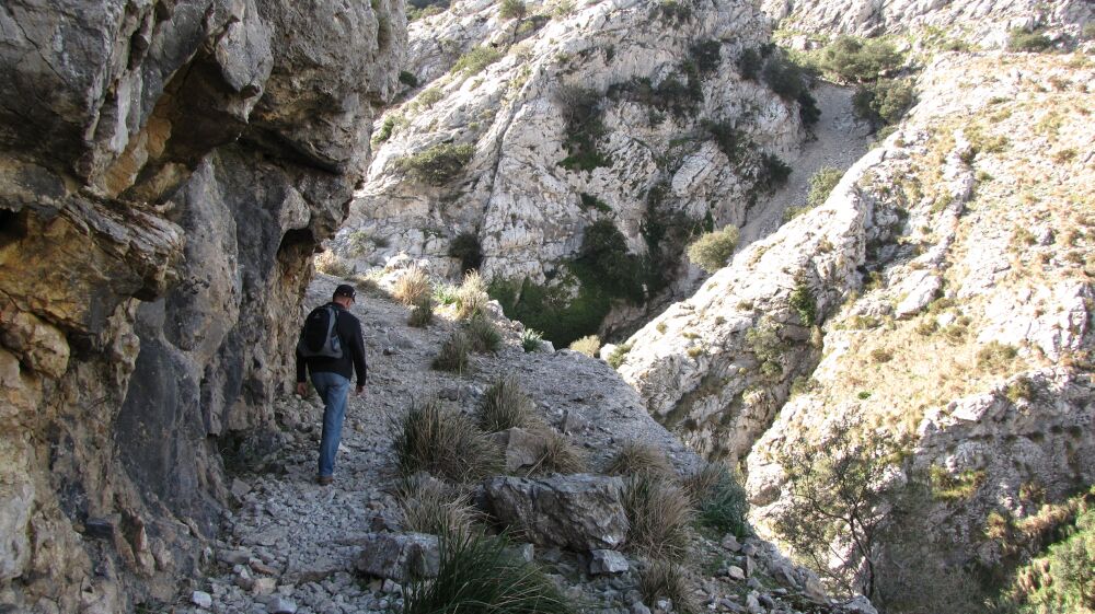 Ab in die Schlucht