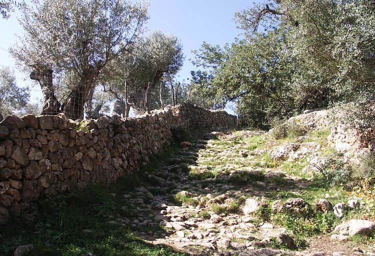 Wanderweg zwischen Port de Soller und Deia