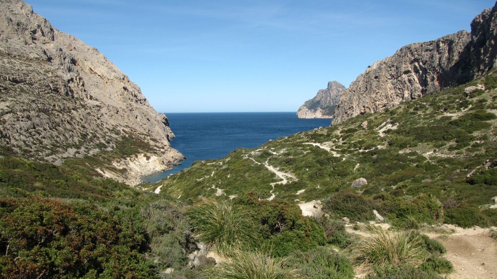 Boquer-Tal