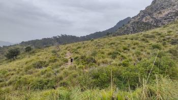 Weg zurück zur Ermita de la Victòria