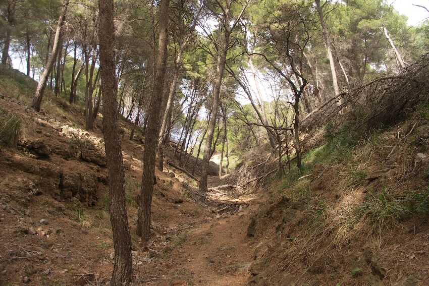 Wanderung zur Steilküste unterhalb des Torre Picada