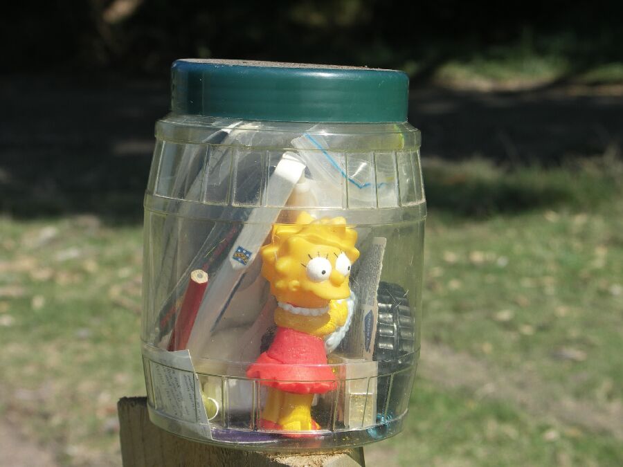 Lisa im Glas