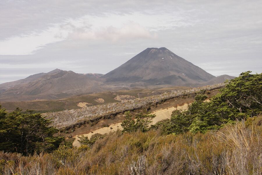 Vulkan im Tongario National Park