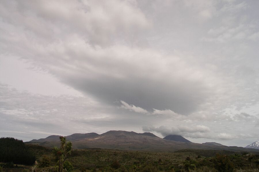 Tongario National Park