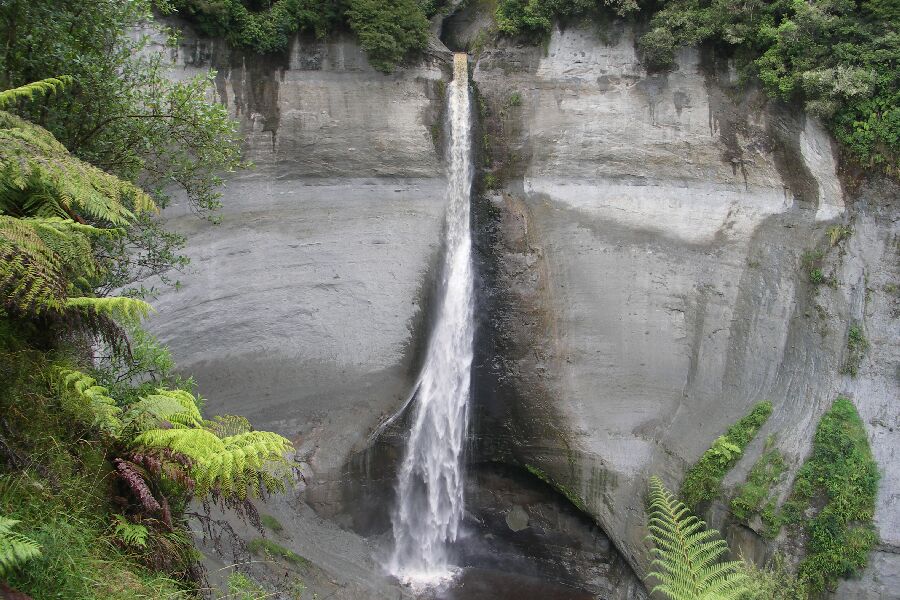 Mt. Damper Fall, der höchste der Nordinsel. Hier kommen selten Touristen hin.