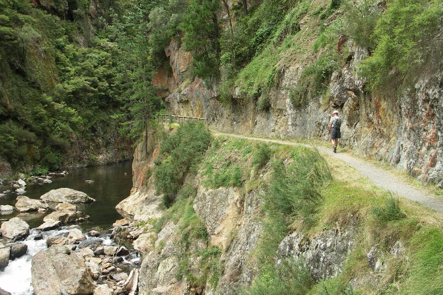 Karangahake Gorge
