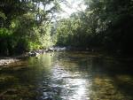 Wentworth Forest
