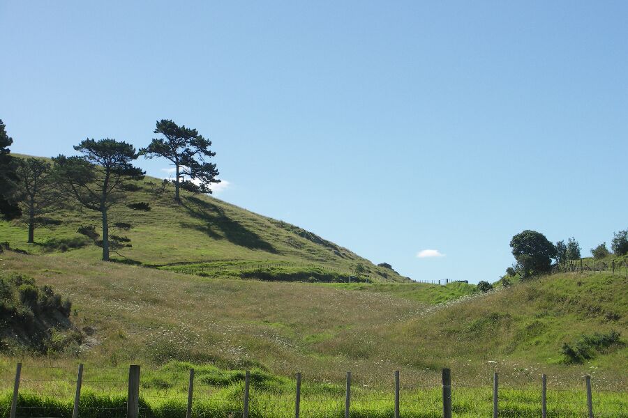 Coromandel