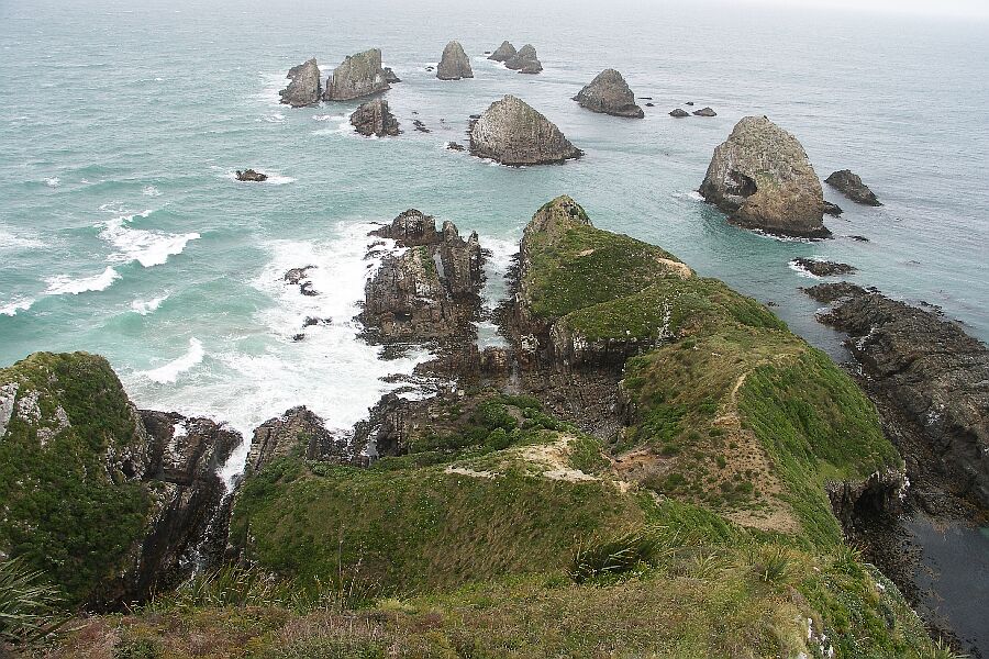 Nugget Point, warum der nur so heißt???