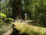 Auf dem Circle Track