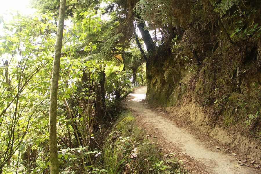 Abel Tasman Coastel Track