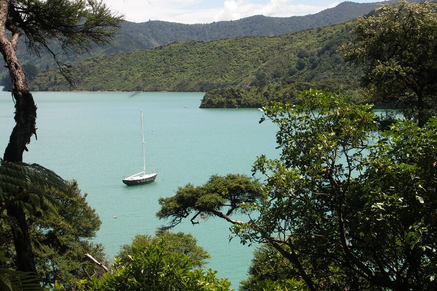 Kenepuru Sound