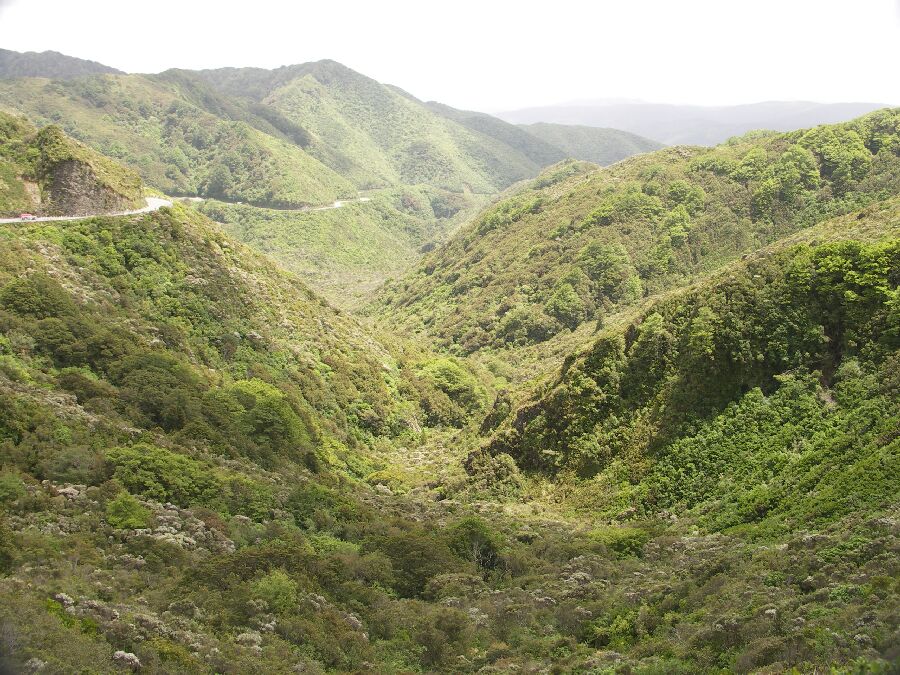 Passtraße über den Rimutaka Summit