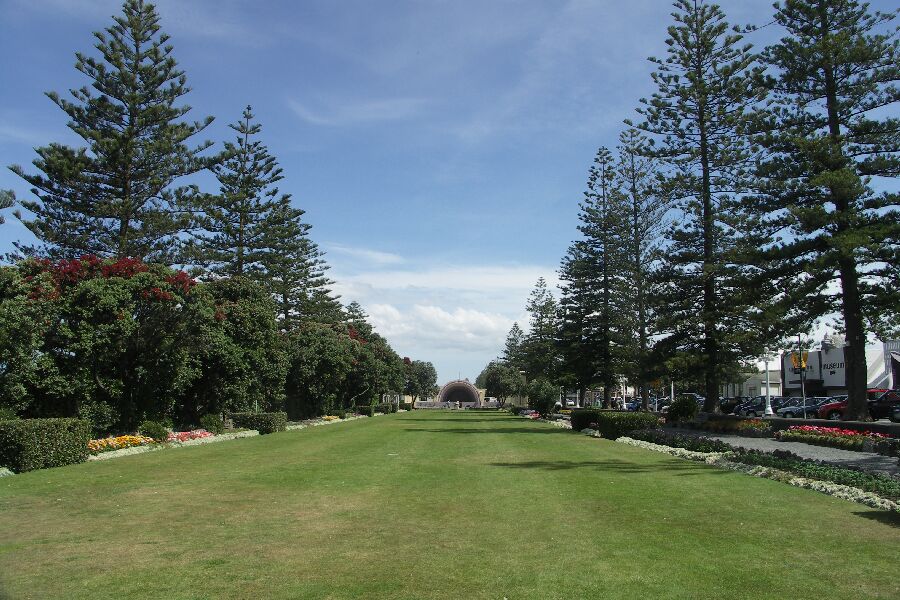 Napier, Promenade mit Zimmertannen