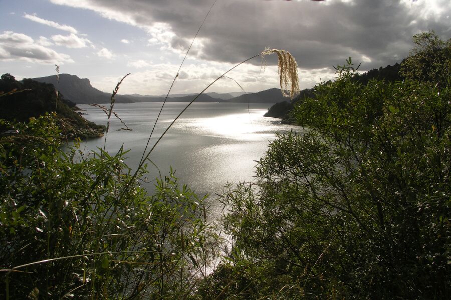 Lake Waikaremoana