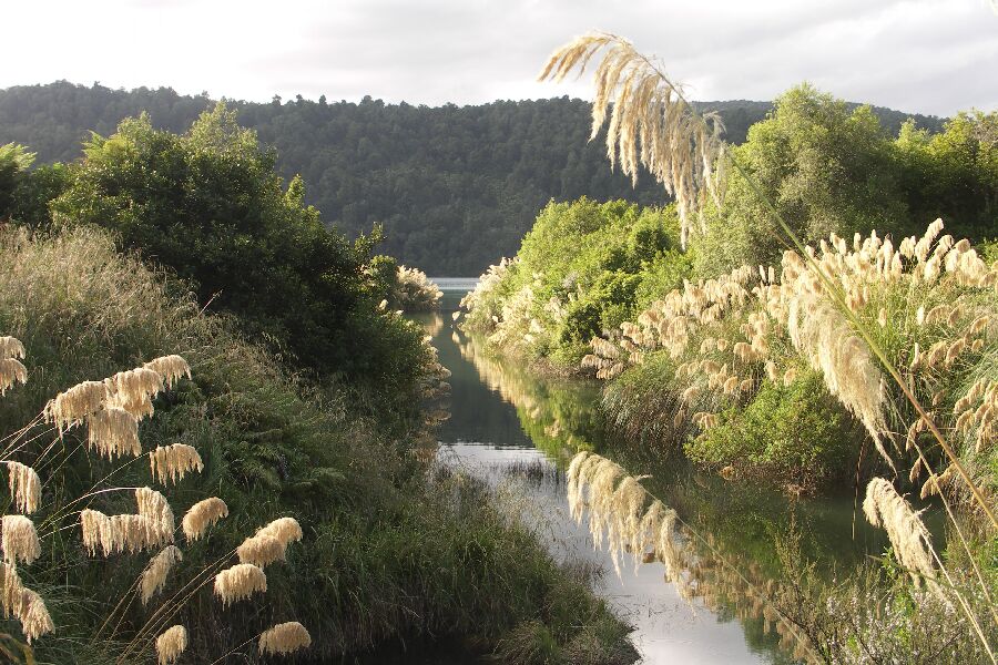 Lake Waikaremoana