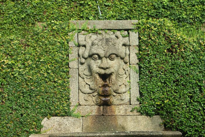 Wasserspeier