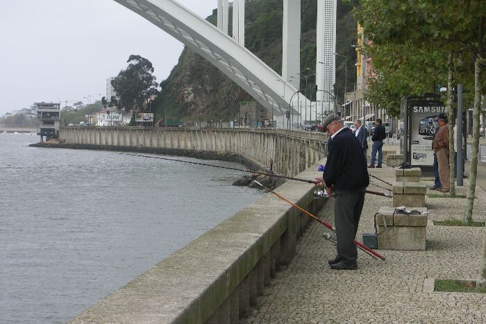Douro- Angler