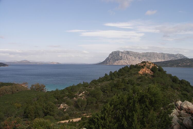 Küste