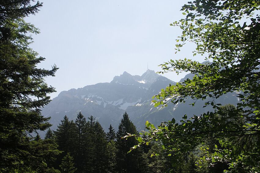 der Säntis