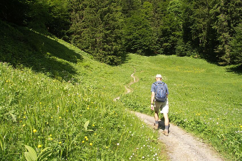 Weg zur Hochalb 