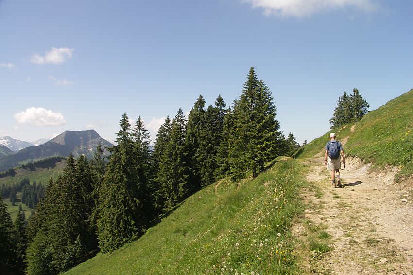 Weg zur Hochalb