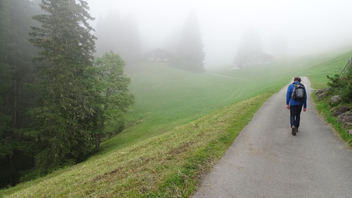 noch ist nicht viel zu sehen