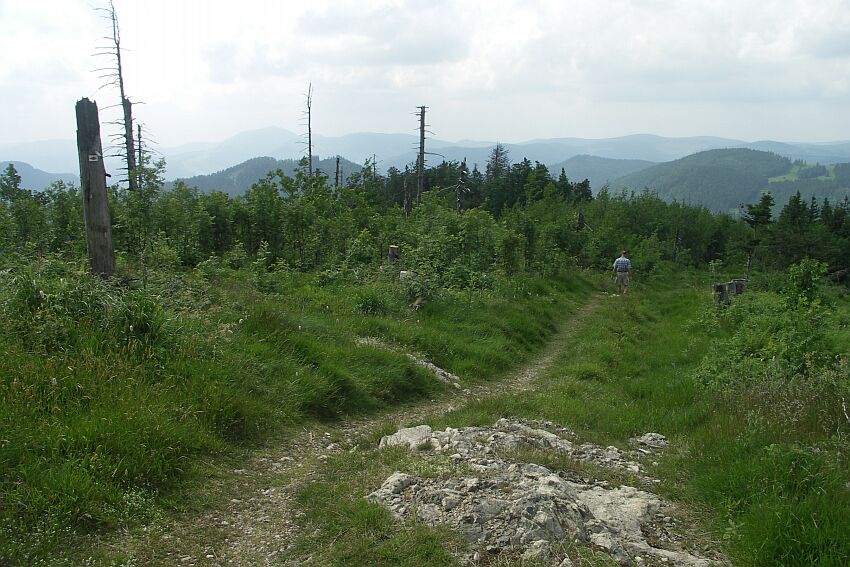 entwaldeter Blösslin-Gipfel