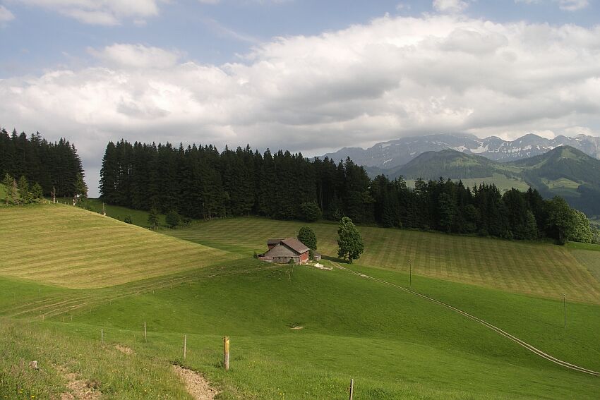 Wanderung zum Tüfenberg