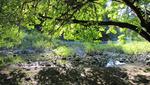 Am Fluss