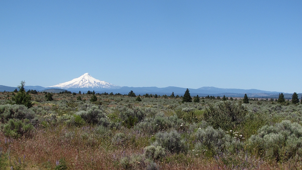 Mount Hood grüßt aus der Ferne