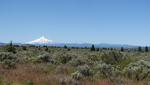 Mount Hood grüßt aus der Ferne